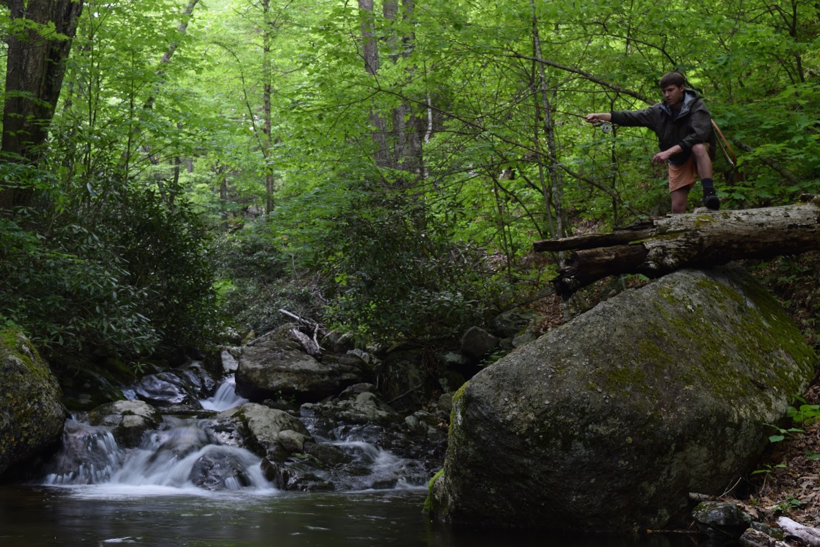 Hike and Fish Cabin Creek Trail