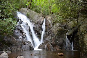 Hike and Fish Cabin Creek Trail