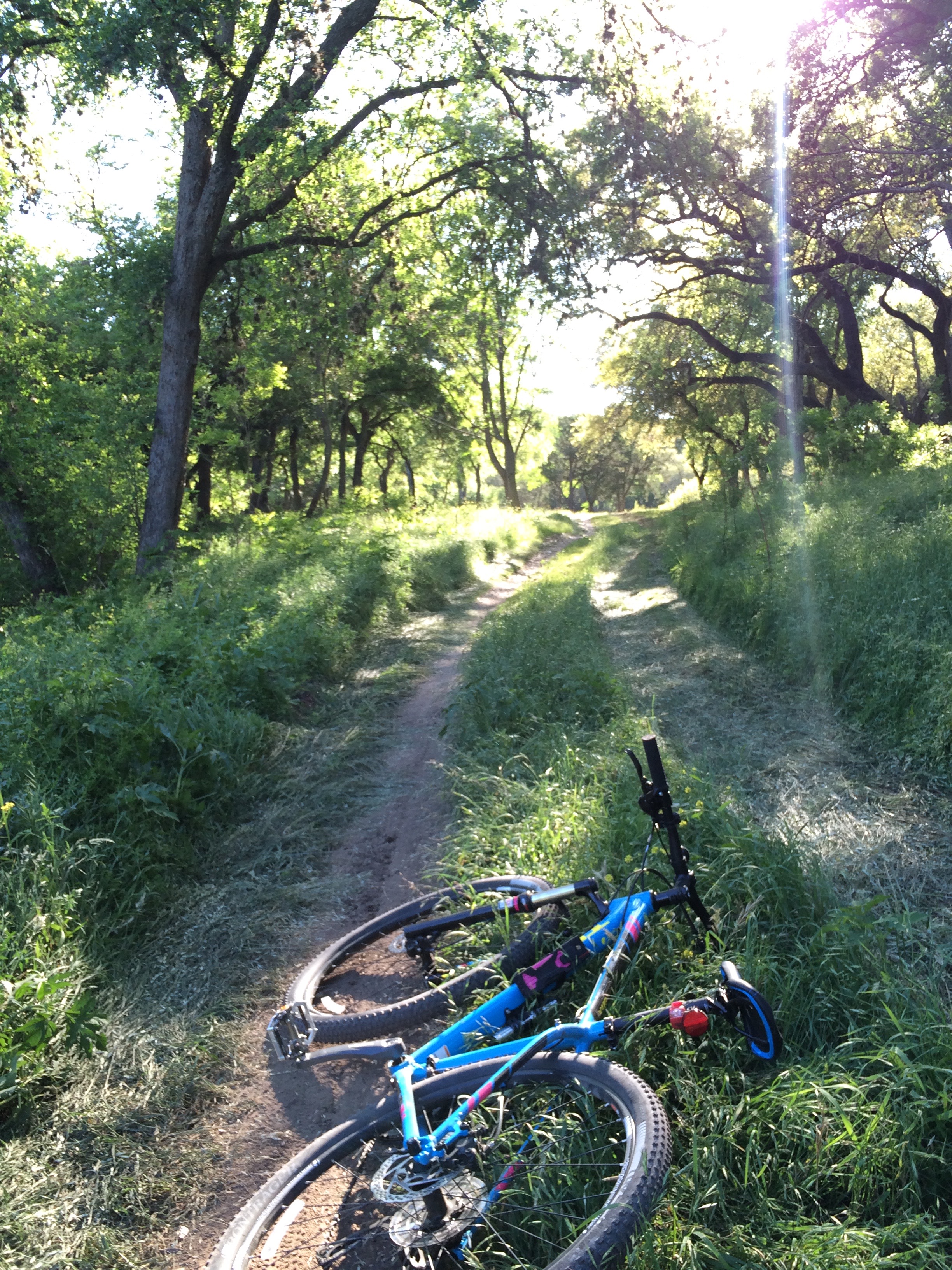 Bike the Salado Creek Trail System