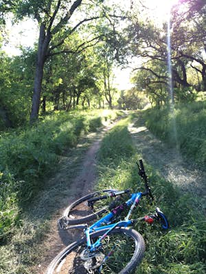 Bike the Salado Creek Trail System