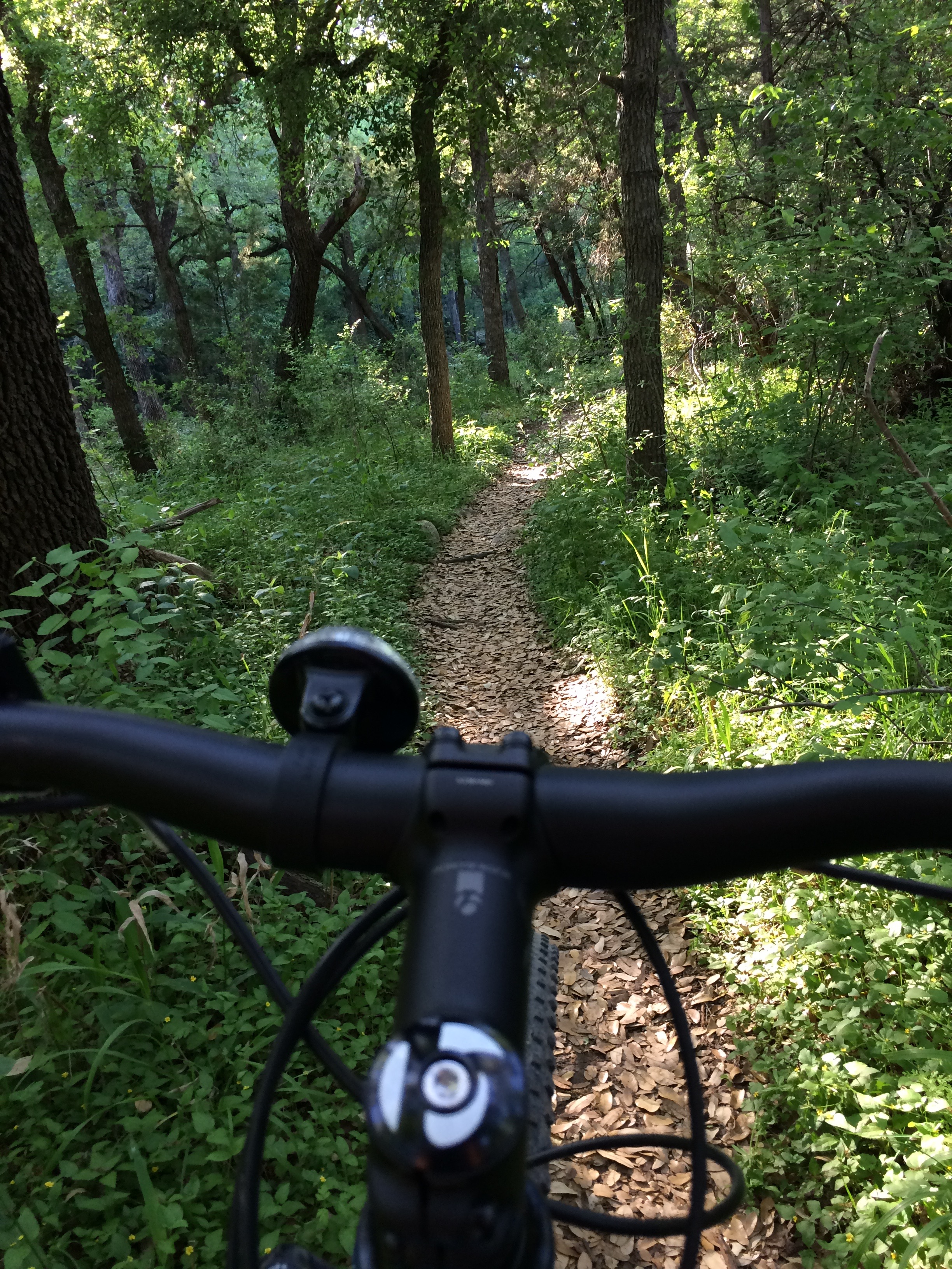 Bike the Salado Creek Trail System