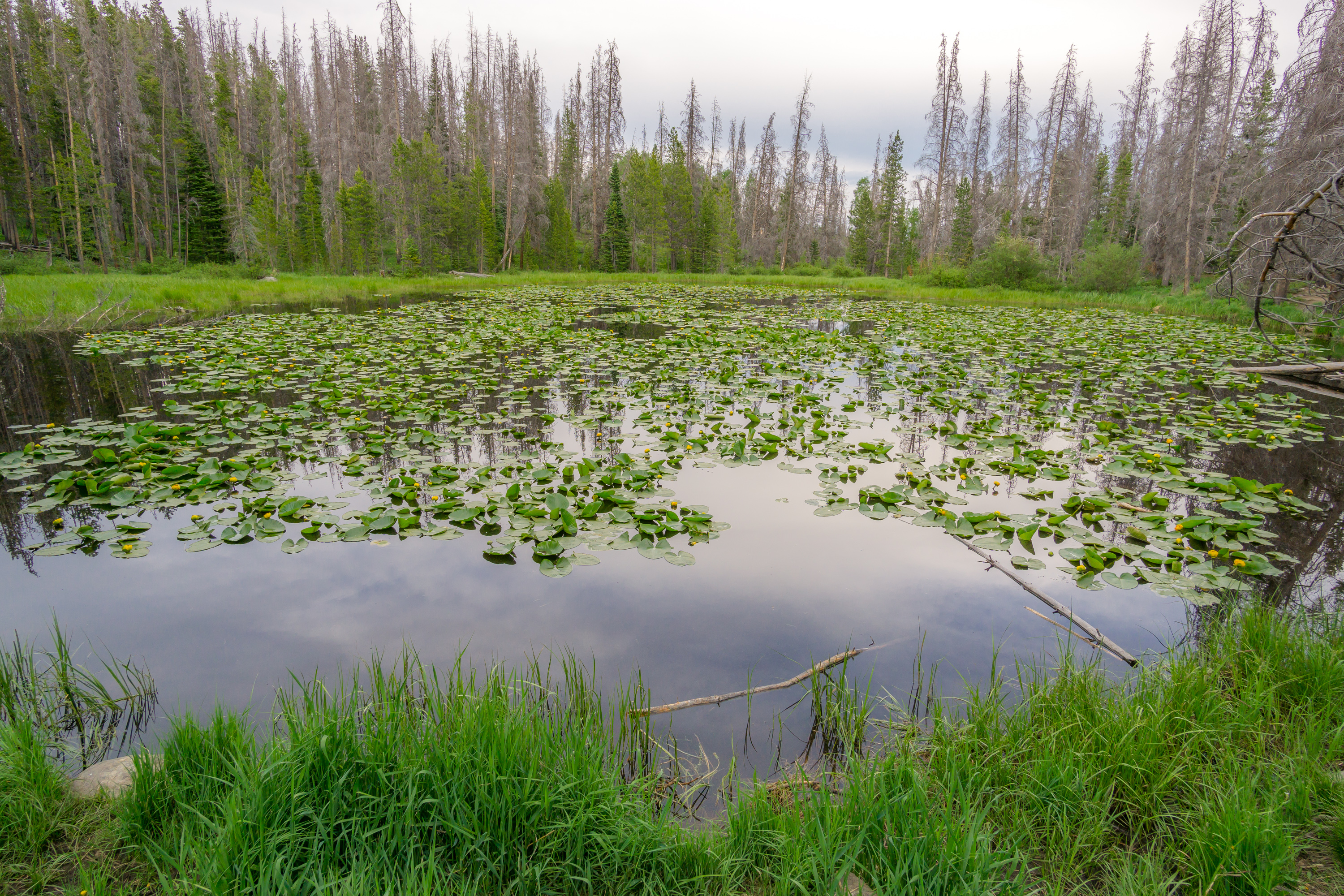 Hike To Lily Pad Lake Silverthorne Colorado