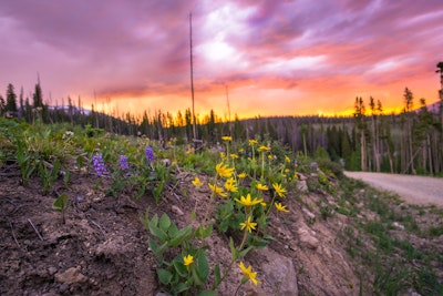 pad lake lily hike