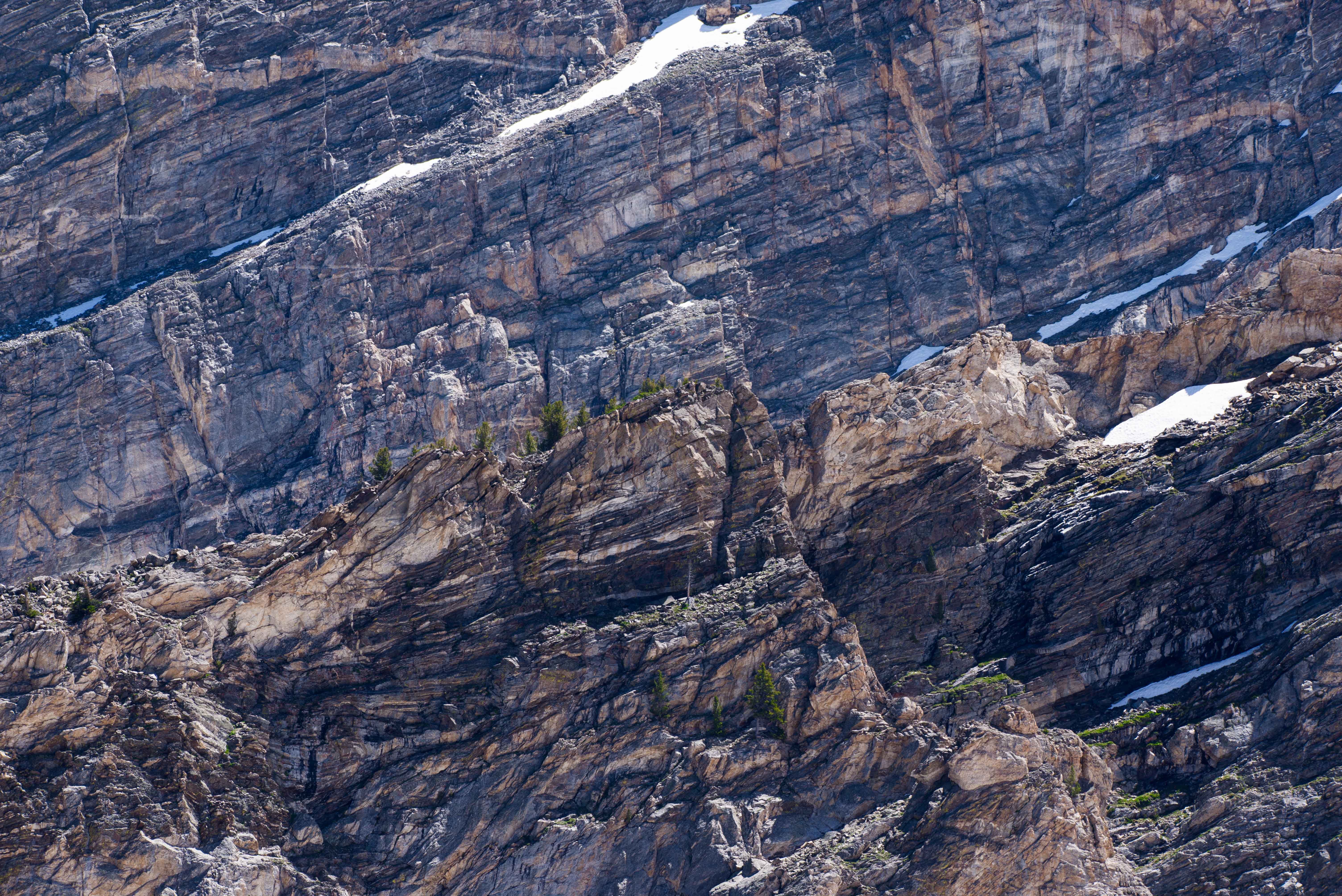 Paintbrush Canyon to Holly Lake
