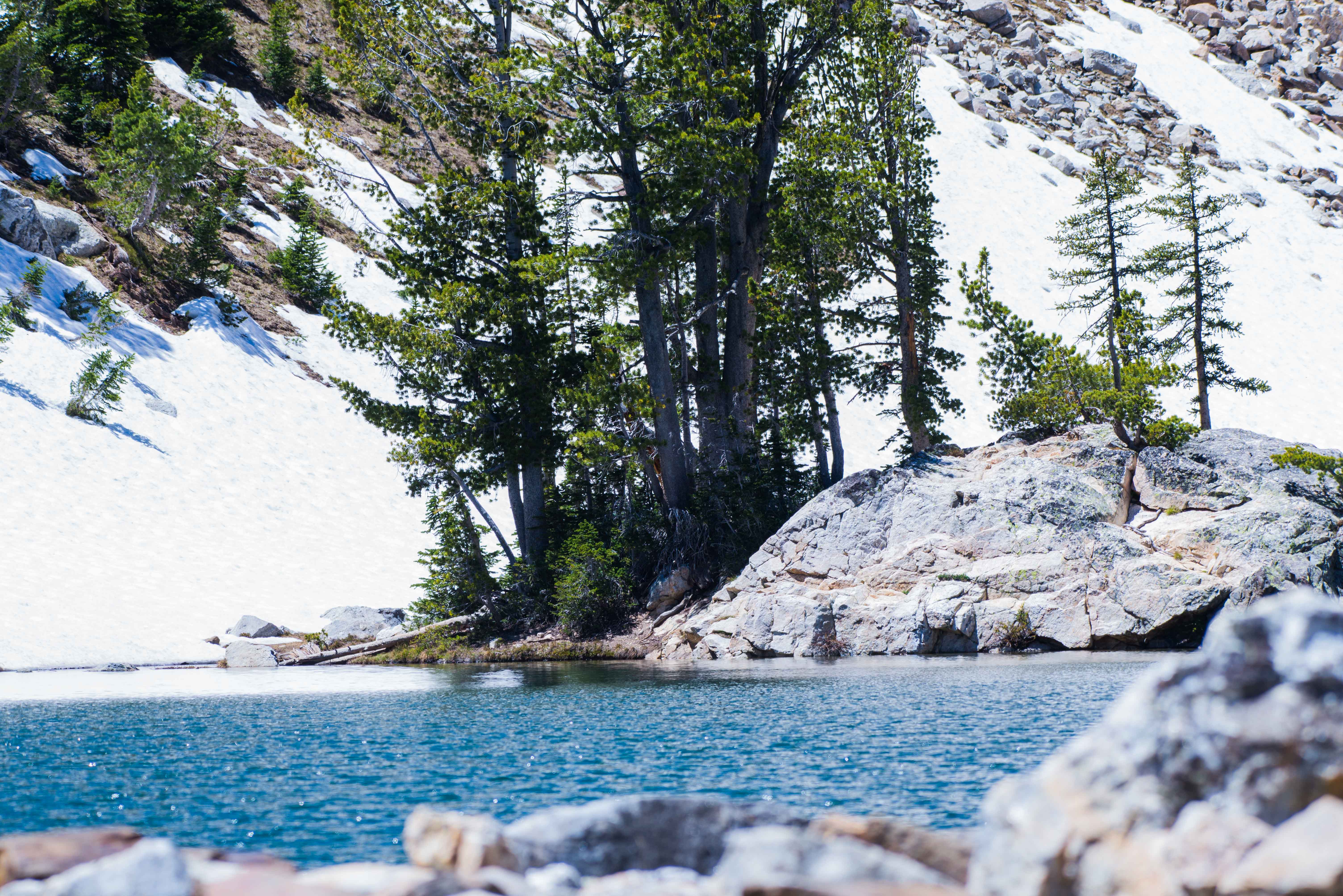 Paintbrush Canyon to Holly Lake