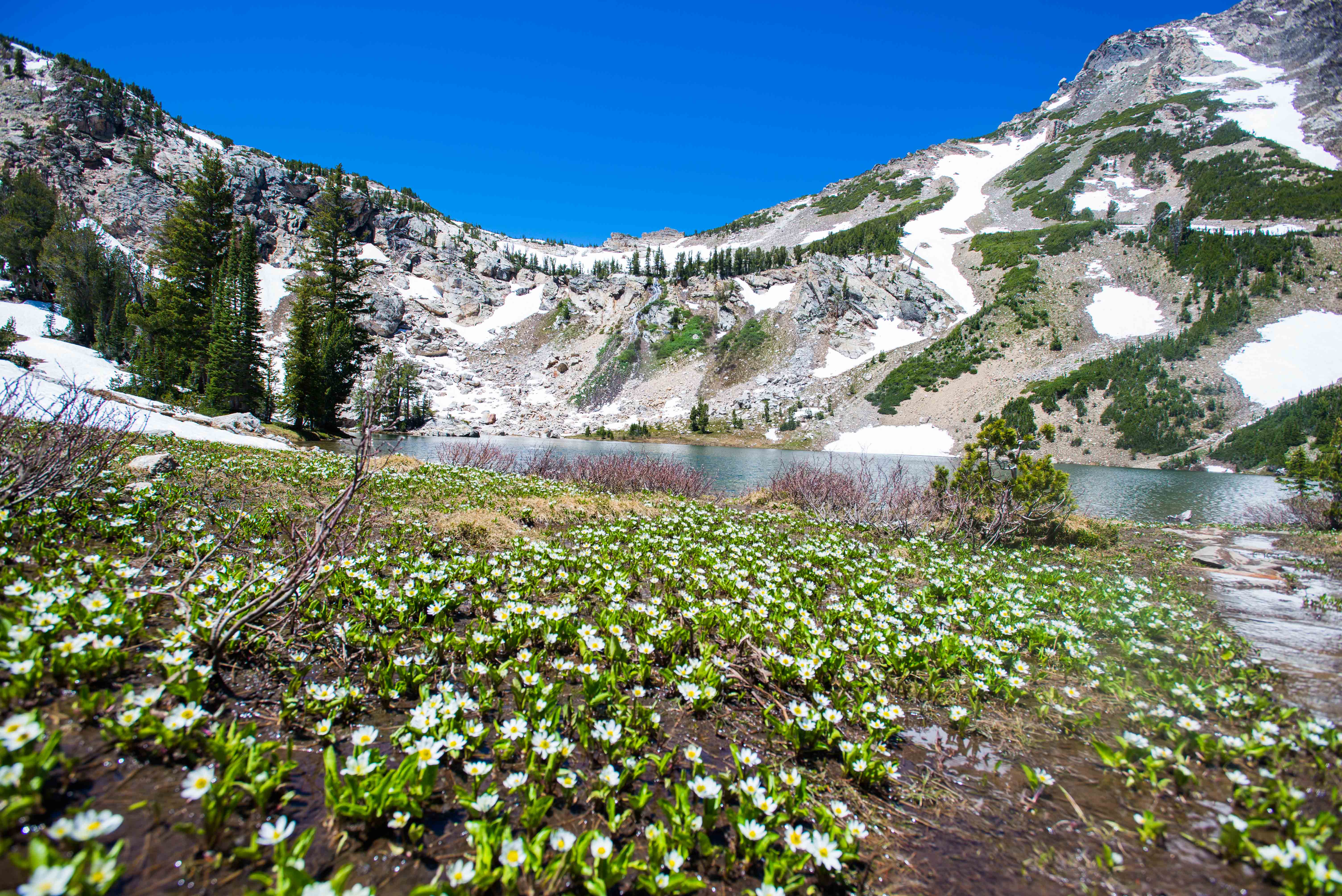Paintbrush Canyon to Holly Lake