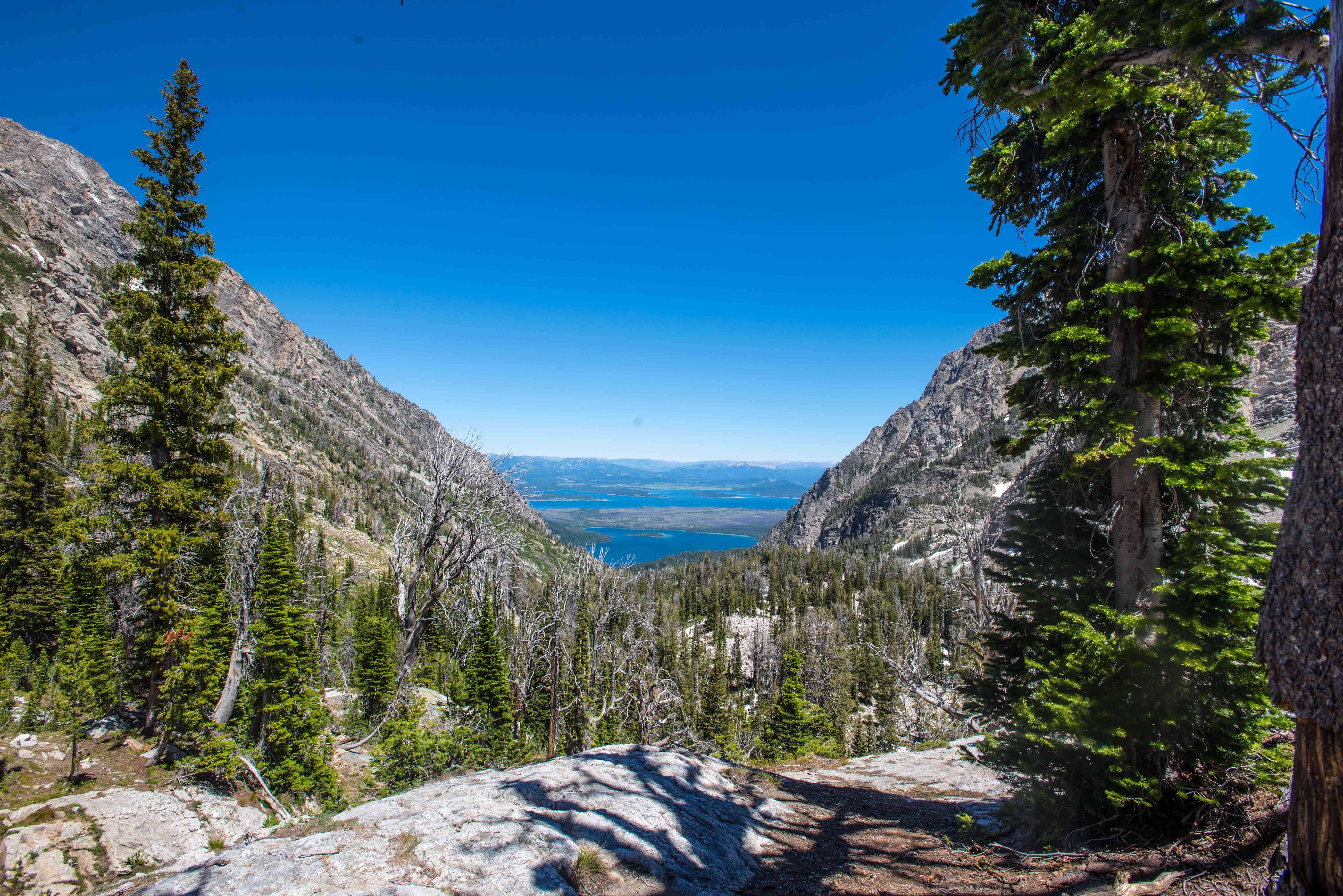 Paintbrush Canyon to Holly Lake