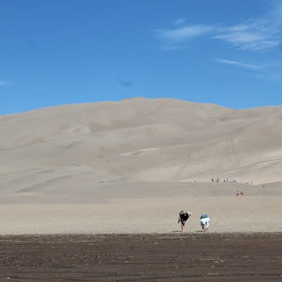 Wander the Great Sand Dunes