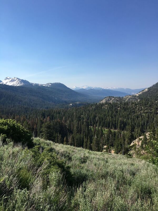 Thousand Island Lake via Agnew Meadows