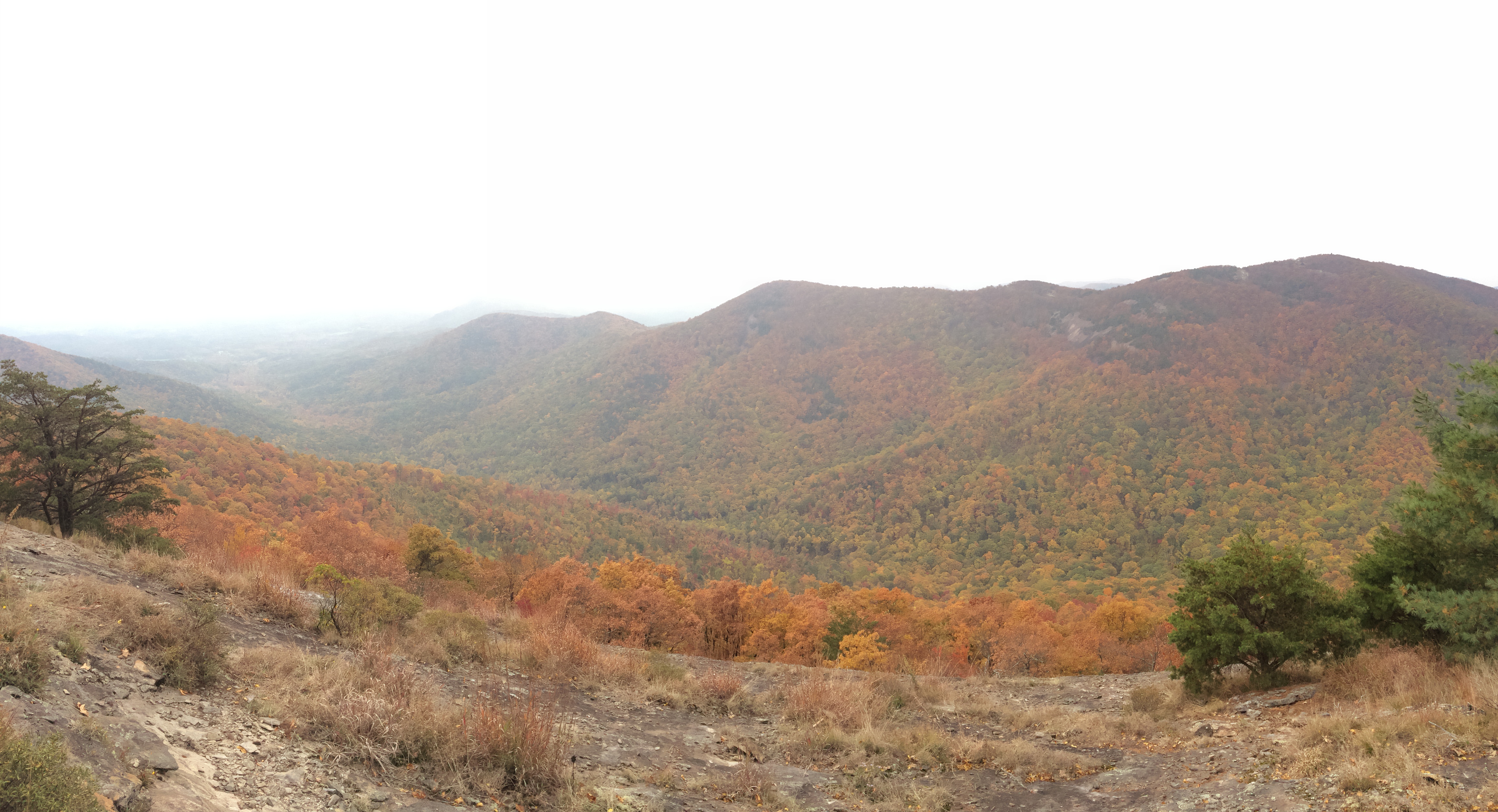 Hike to Hogpen Gap