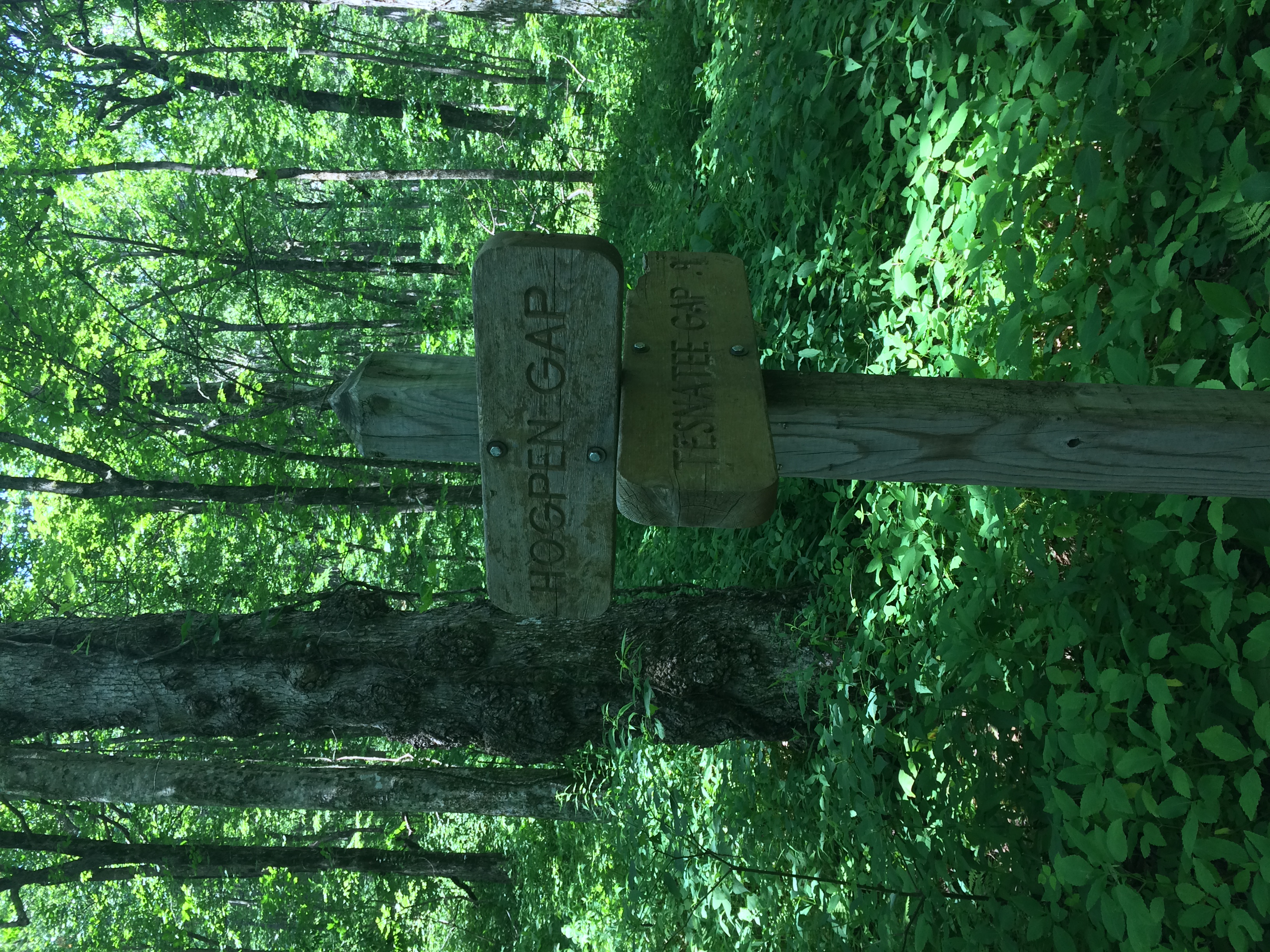 Hike to Hogpen Gap