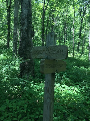 Hike to Hogpen Gap, Chattahoochee Trail