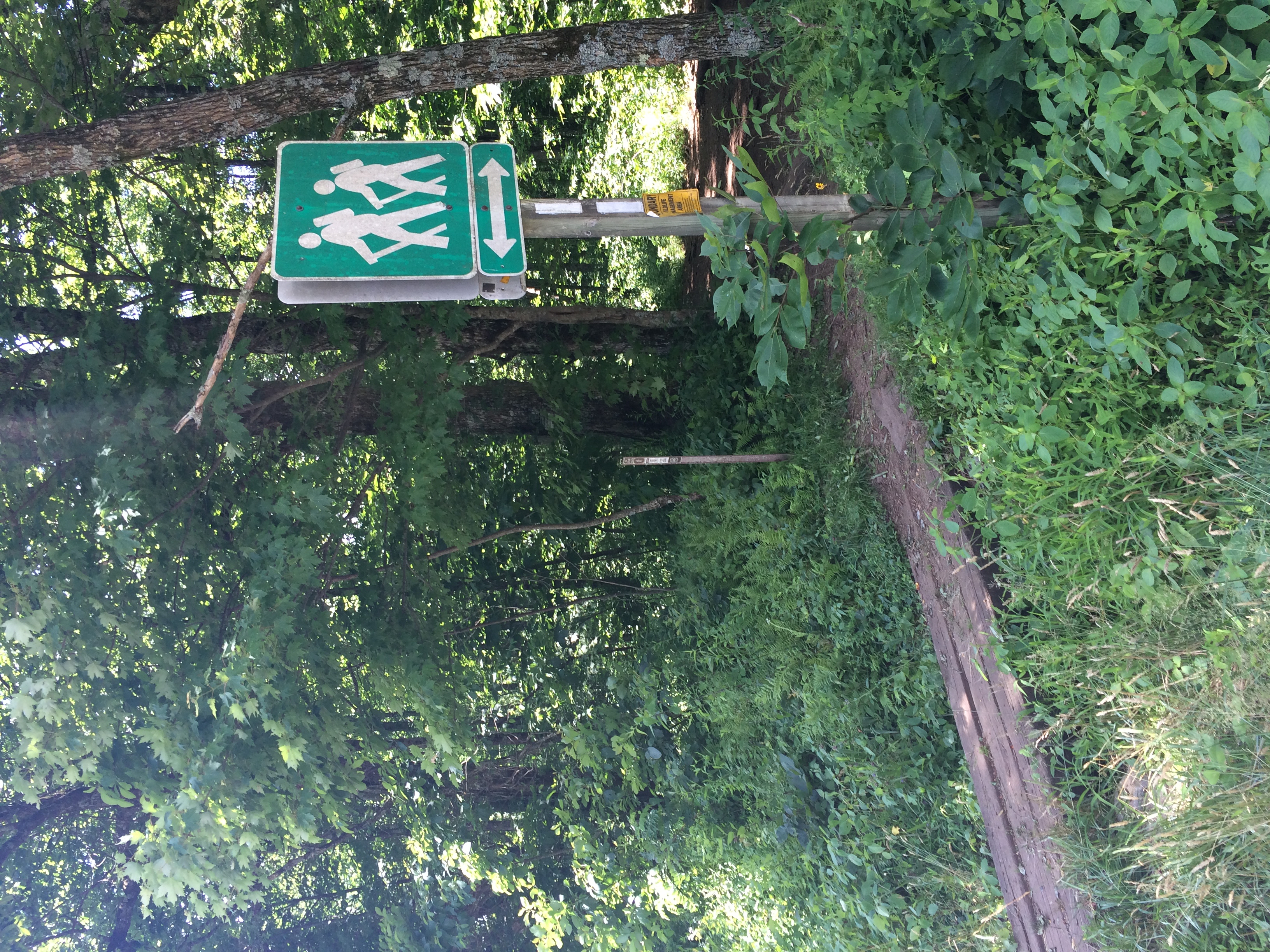 Hike to Hogpen Gap