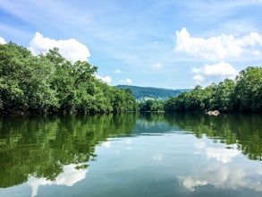 Canoe or Kayak the Upper James River