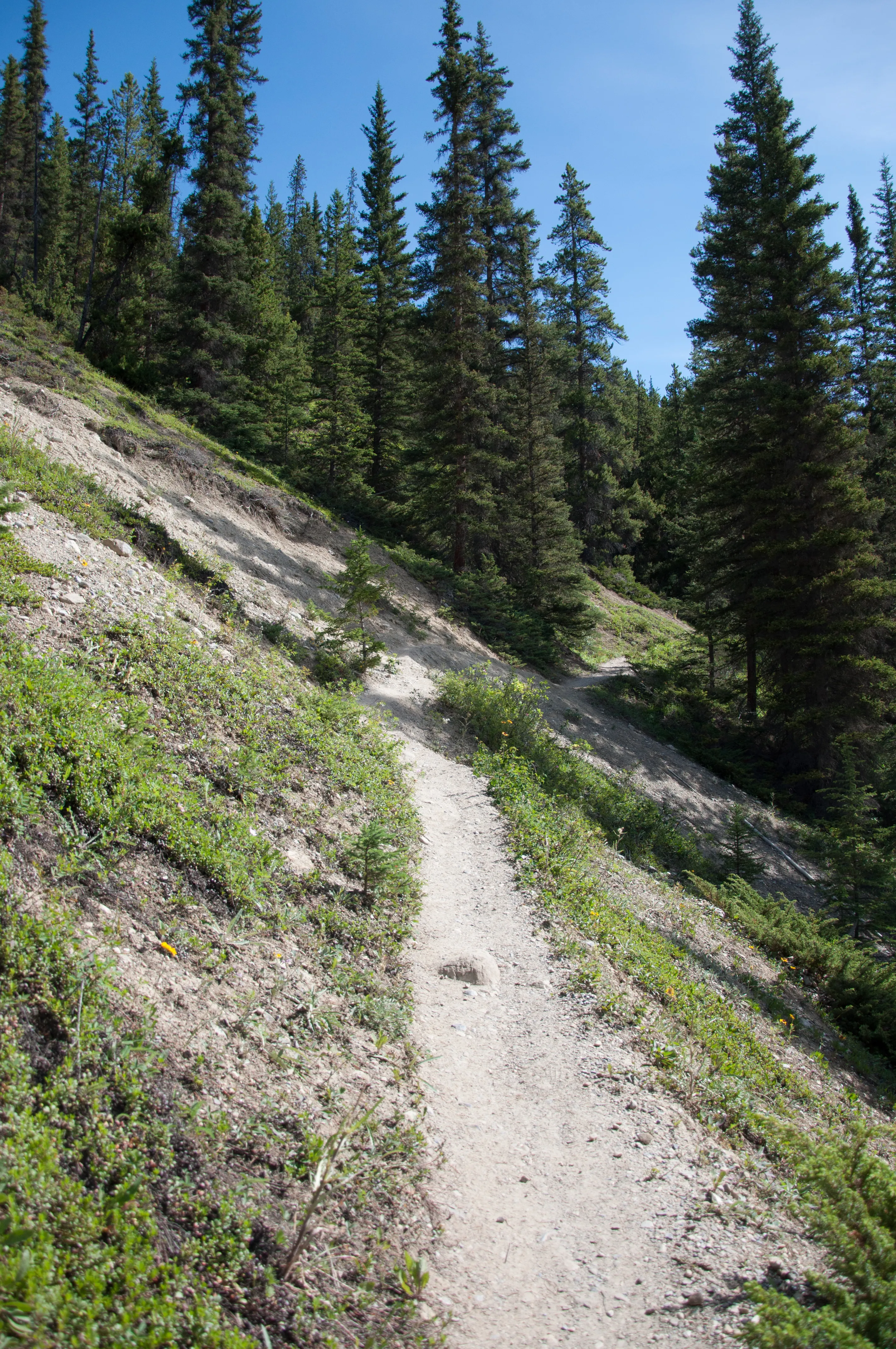 Hike to Silverton Falls 
