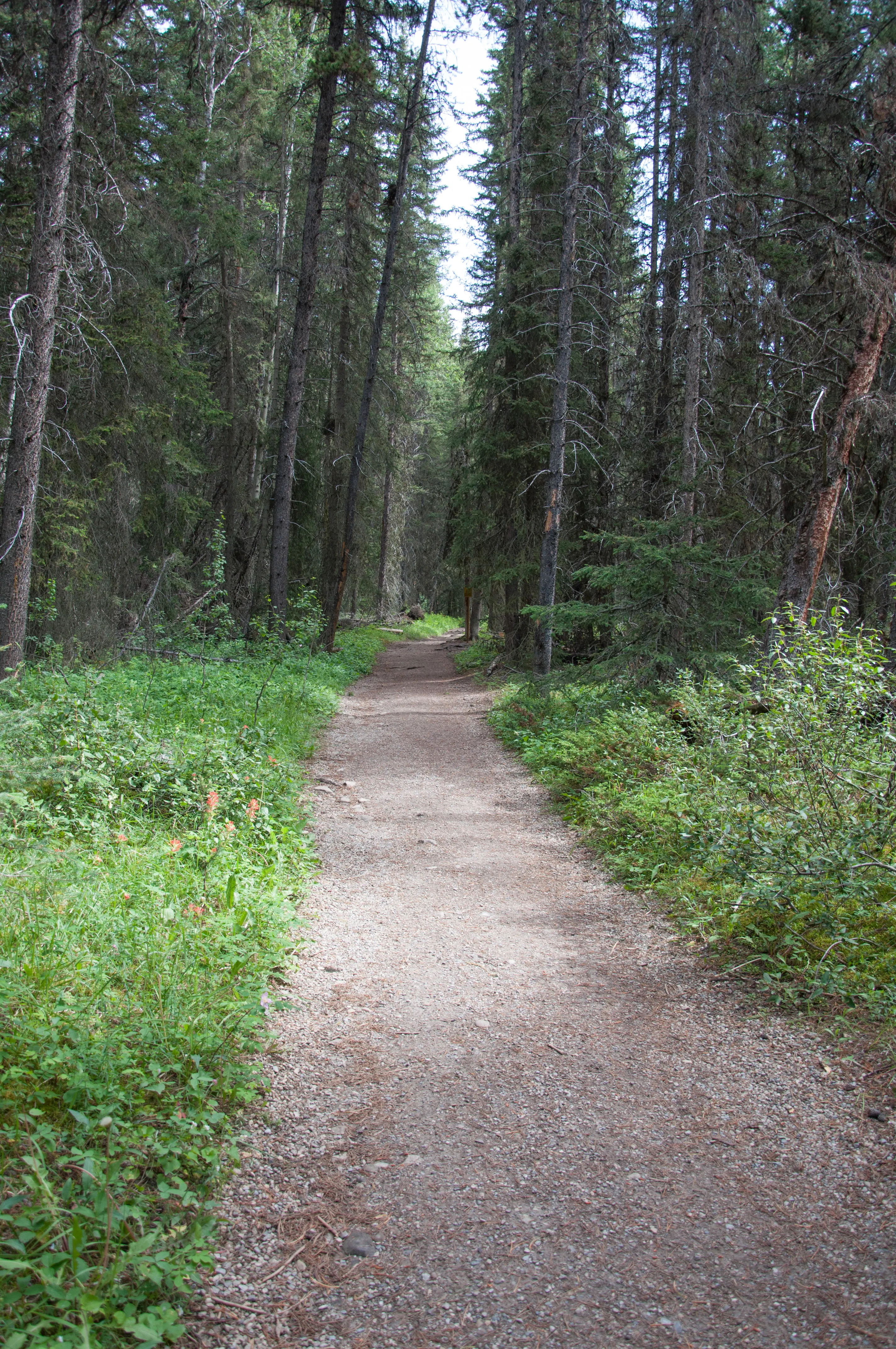 Hike to Silverton Falls 