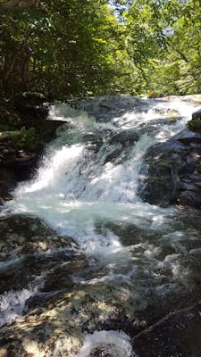 Looking for a Waterfall? Shenandoah Has You Covered