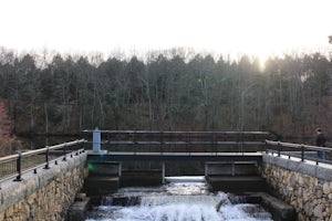 Walk along Lake Waban