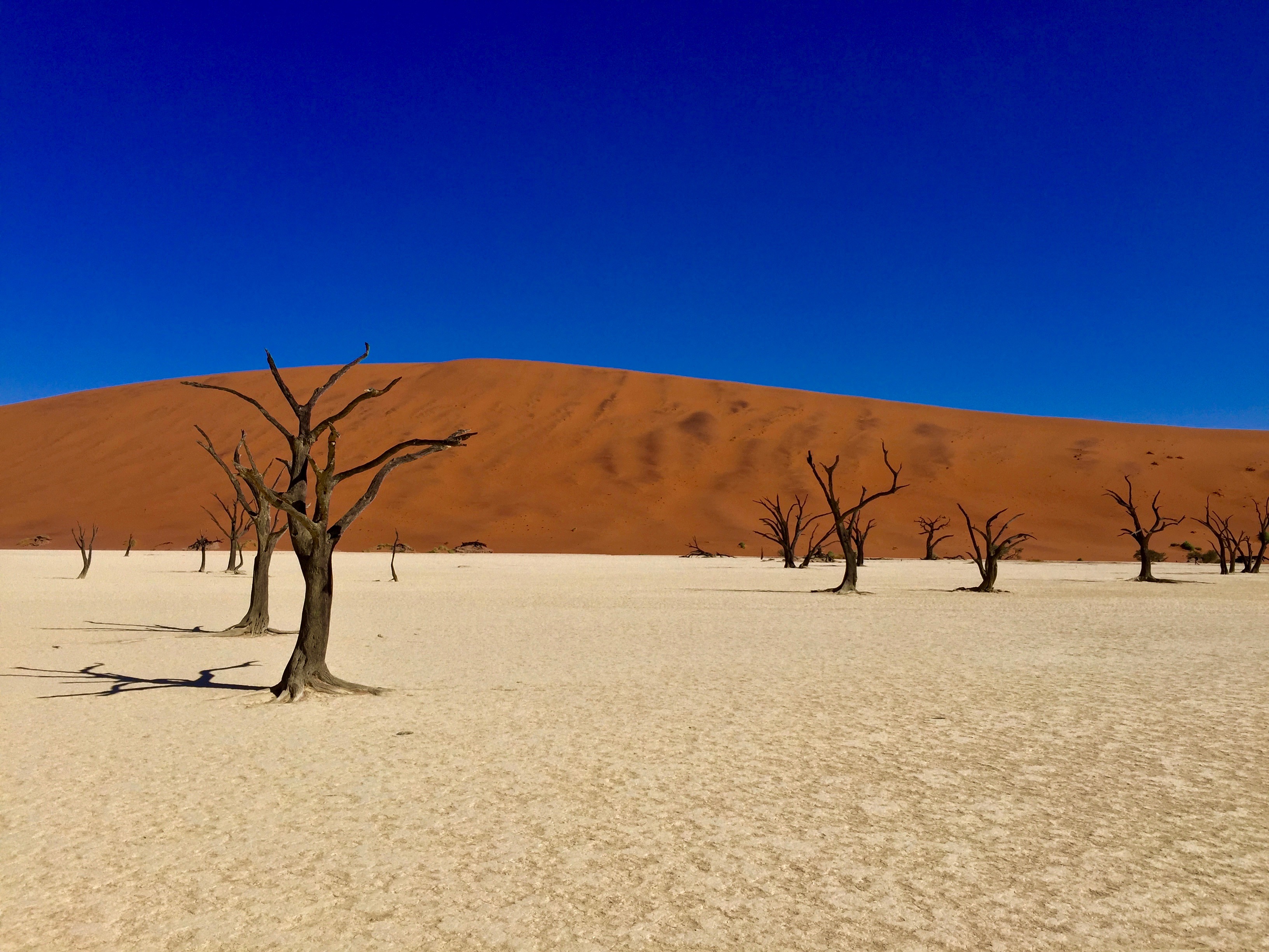 Explore Sossusvlei