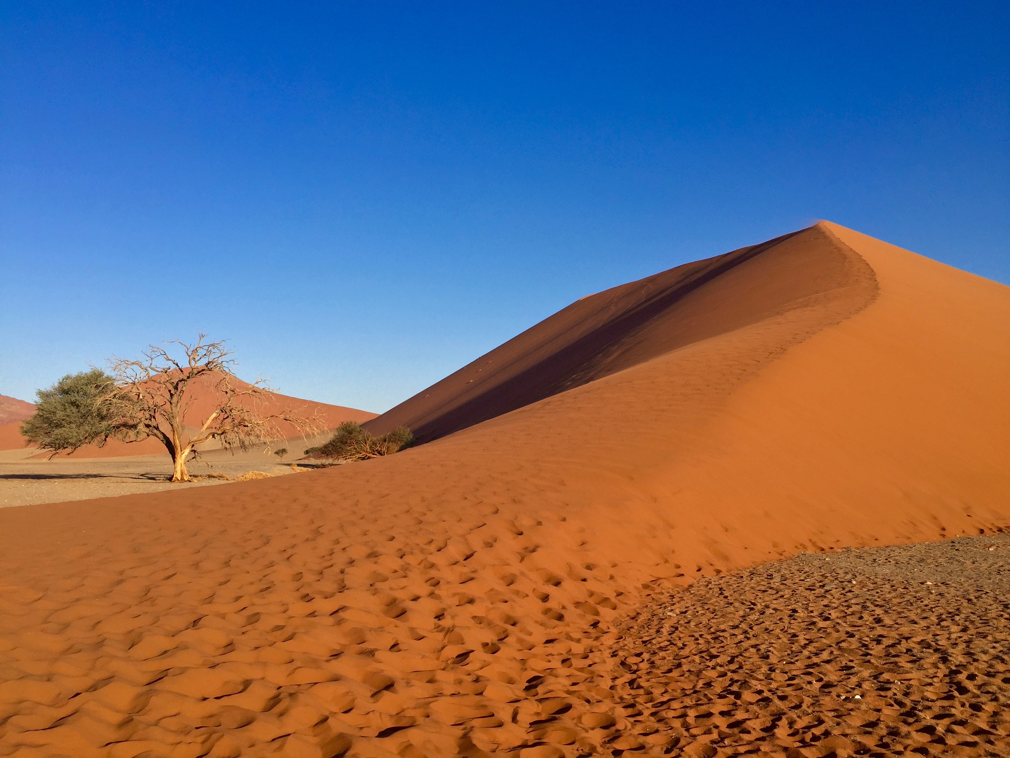 Explore Sossusvlei