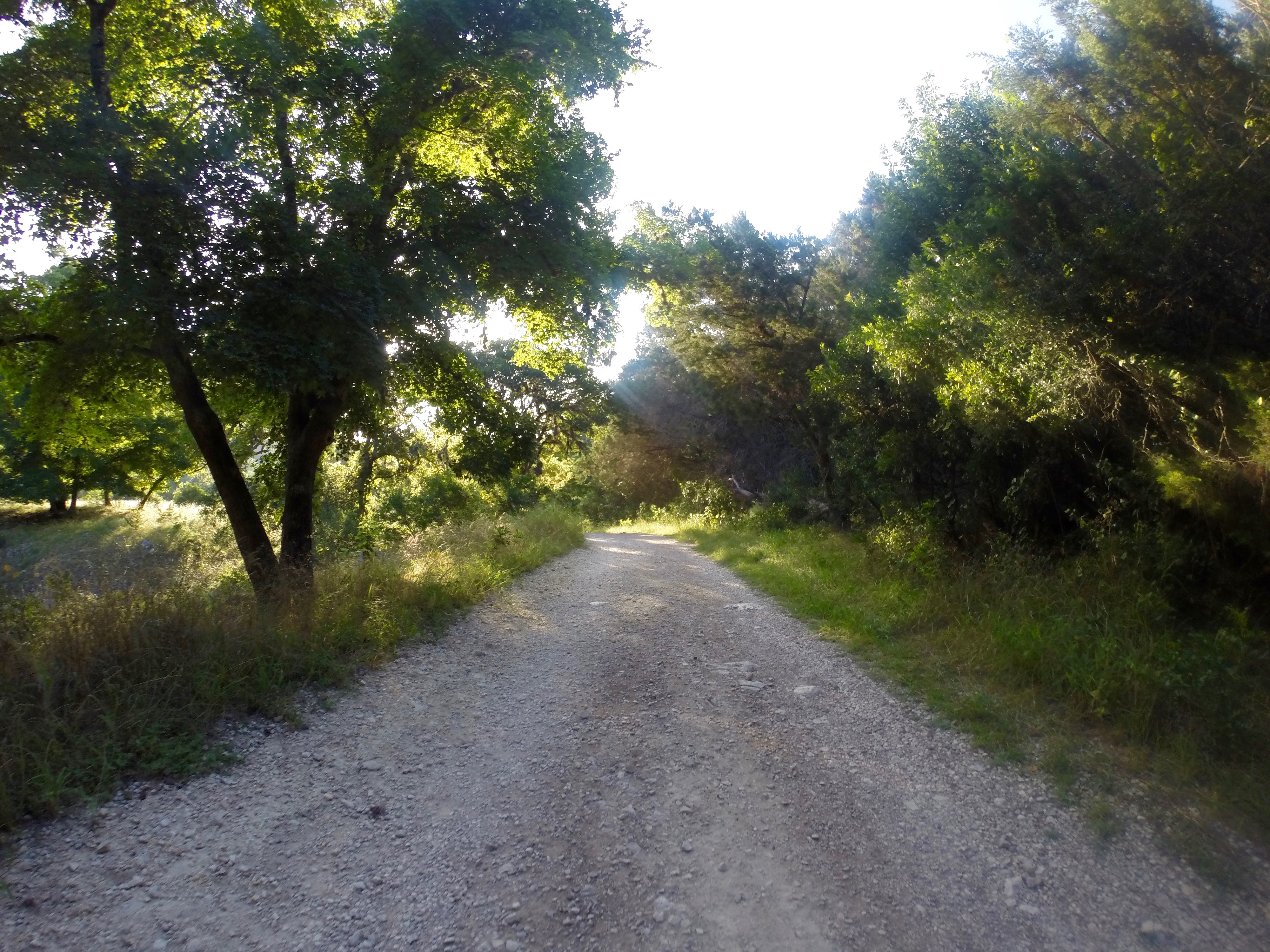 Primitive Camp at Lost Maples State Natural Area
