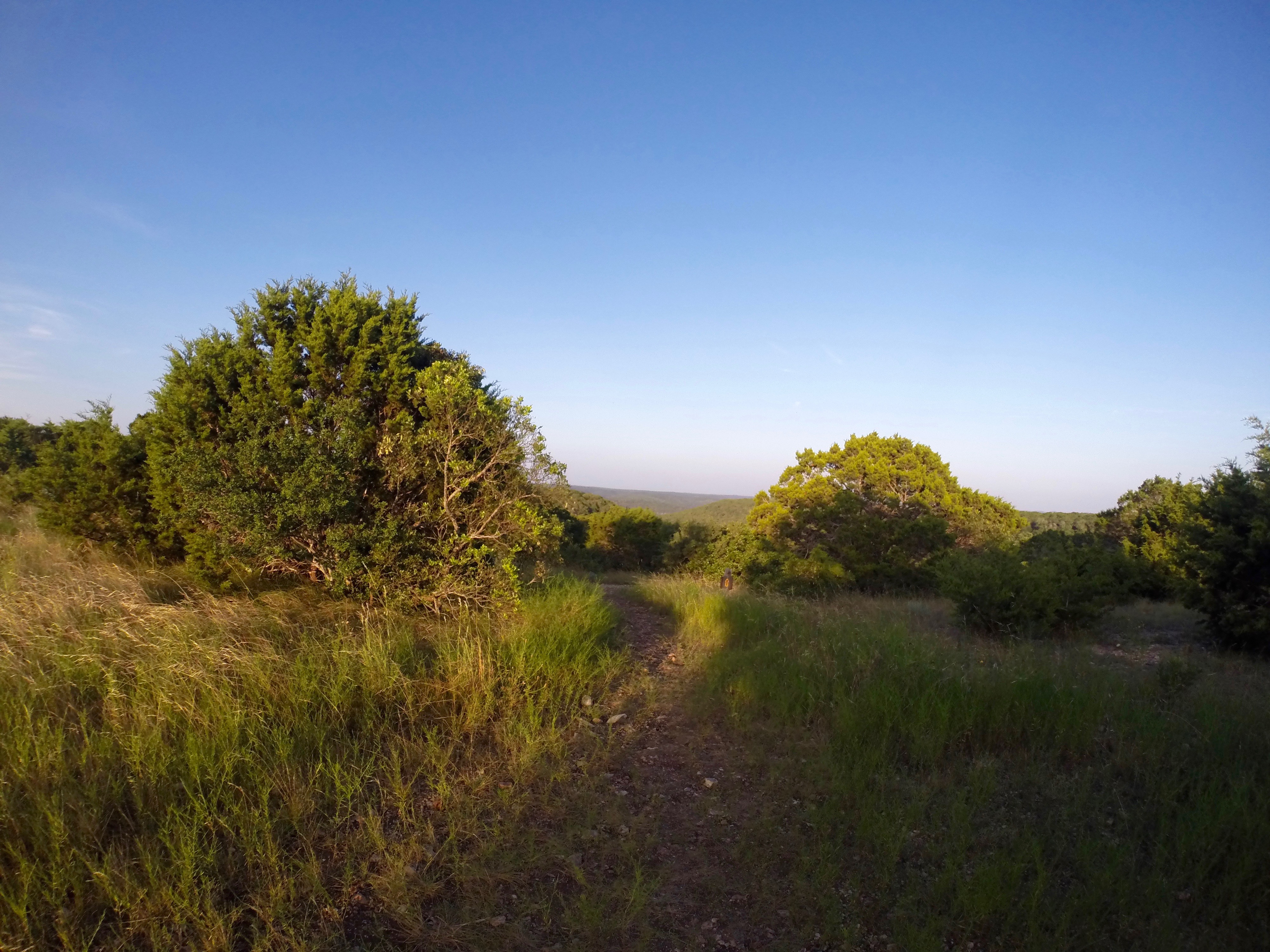 Primitive Camp at Lost Maples State Natural Area