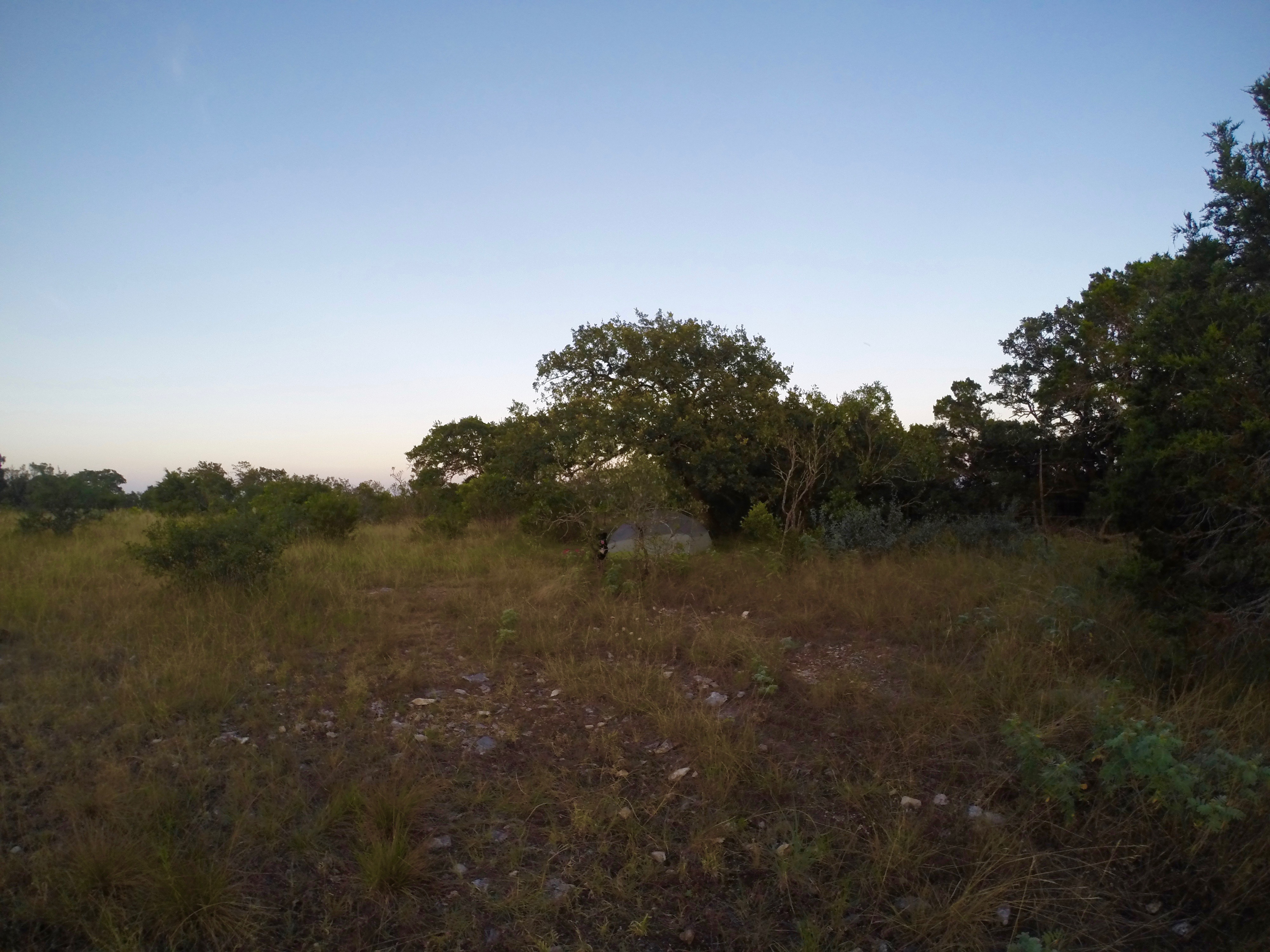 Primitive Camp at Lost Maples State Natural Area