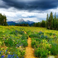 Take Jimmy Chin's Advice and Hike the Teton Crest Trail