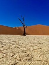 5 Tips to Get the Most of Your Adventure in Namibia
