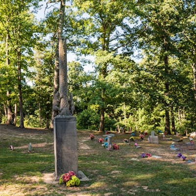Visit the Coon Dog Cemetery