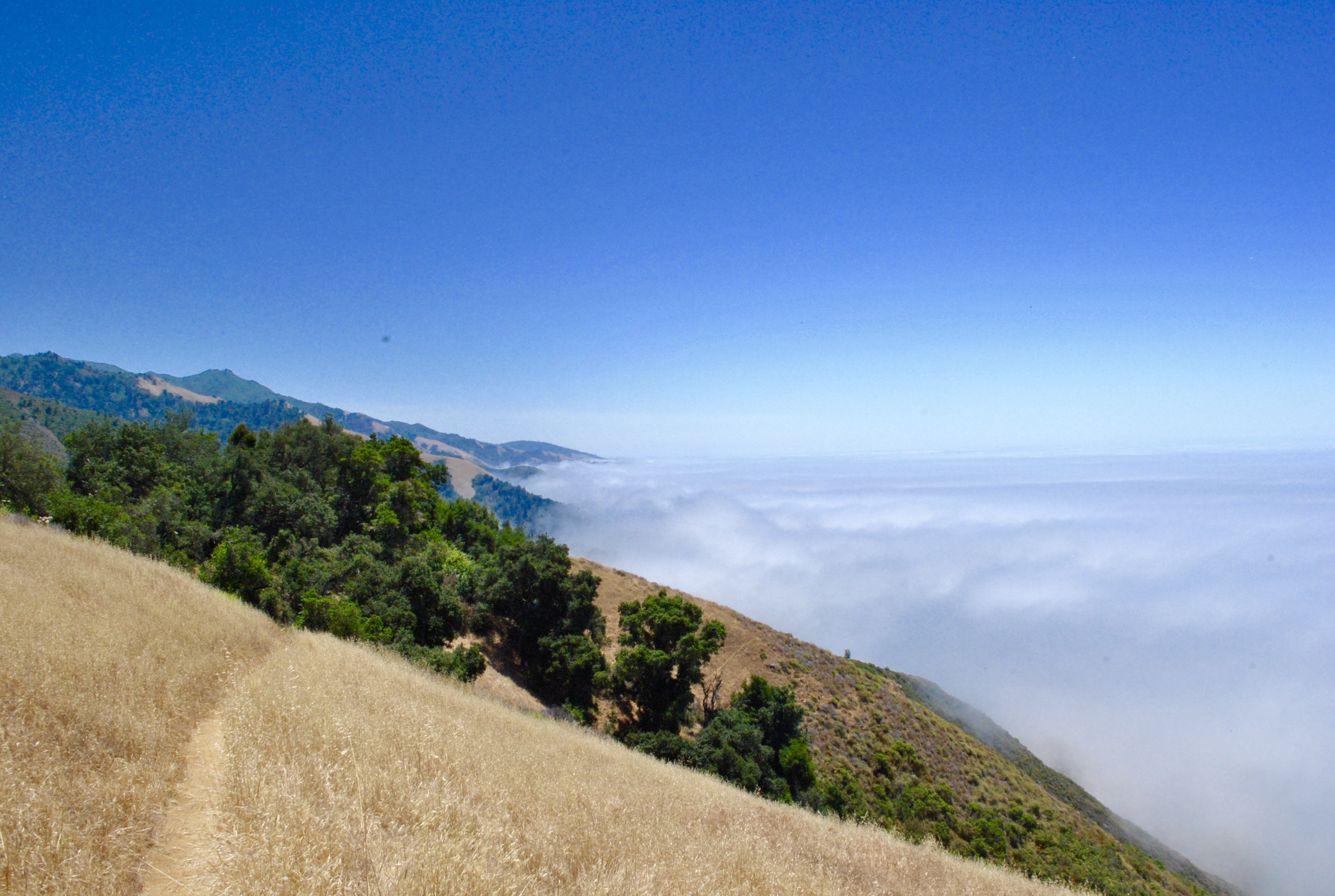 Waters Ridge Trail (Closed)