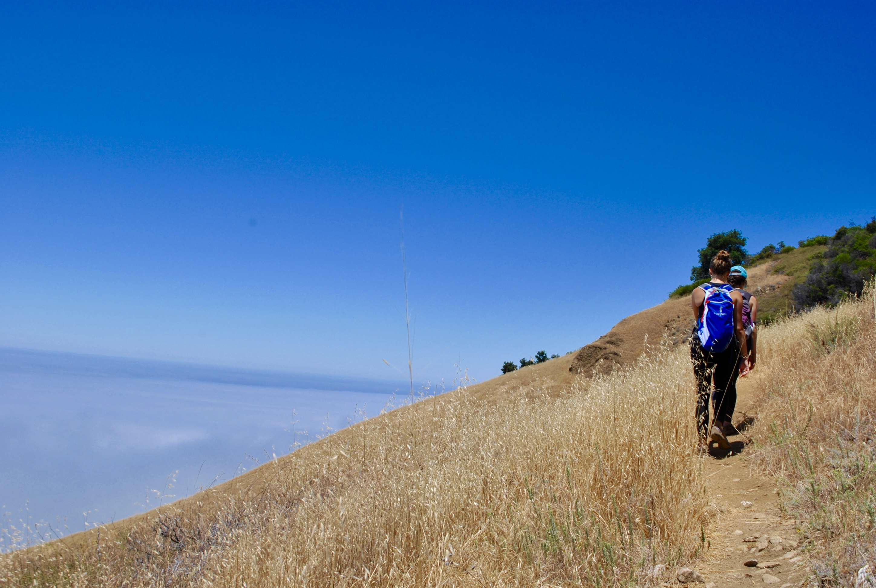 Waters Ridge Trail (Closed)