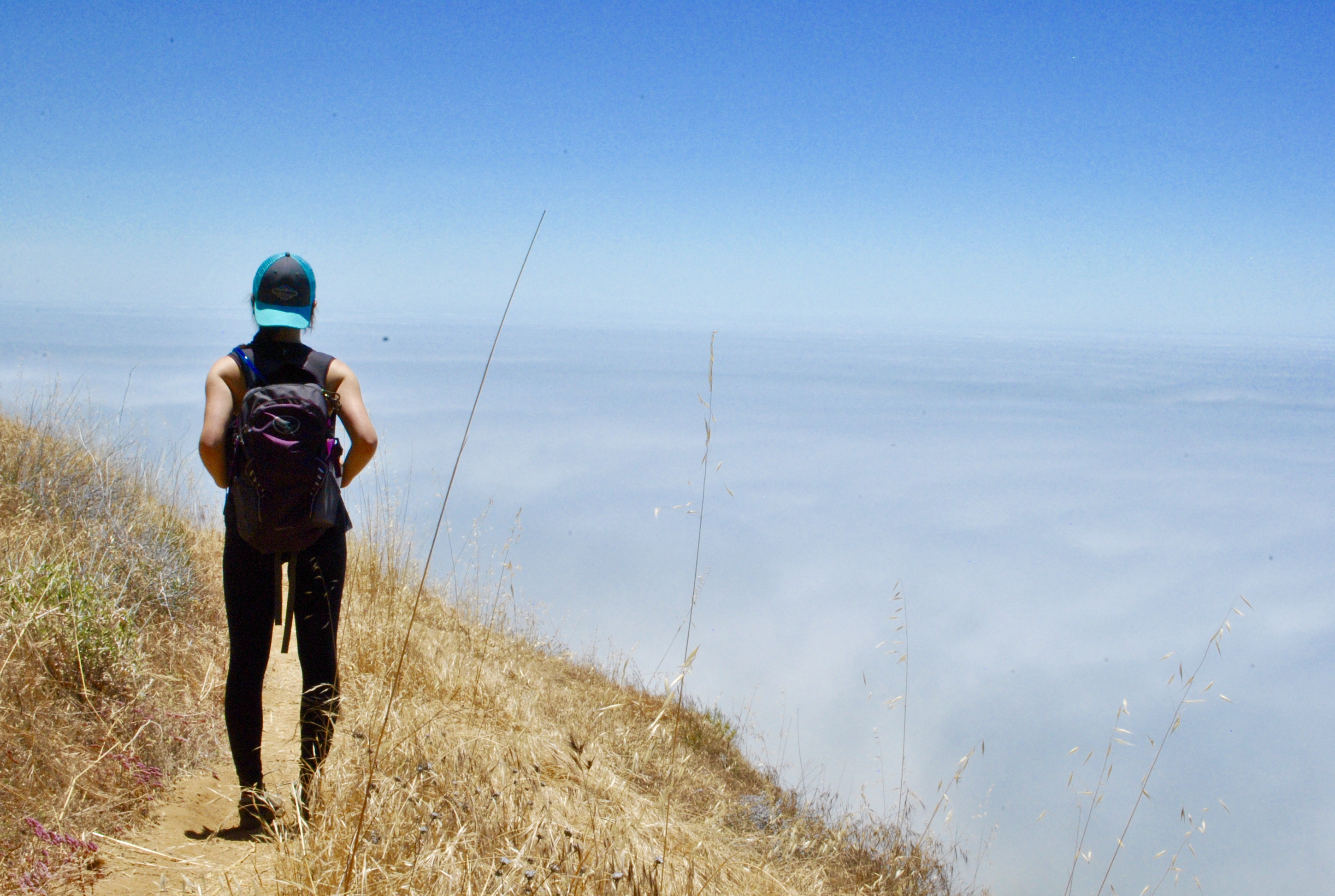 Waters Ridge Trail (Closed)