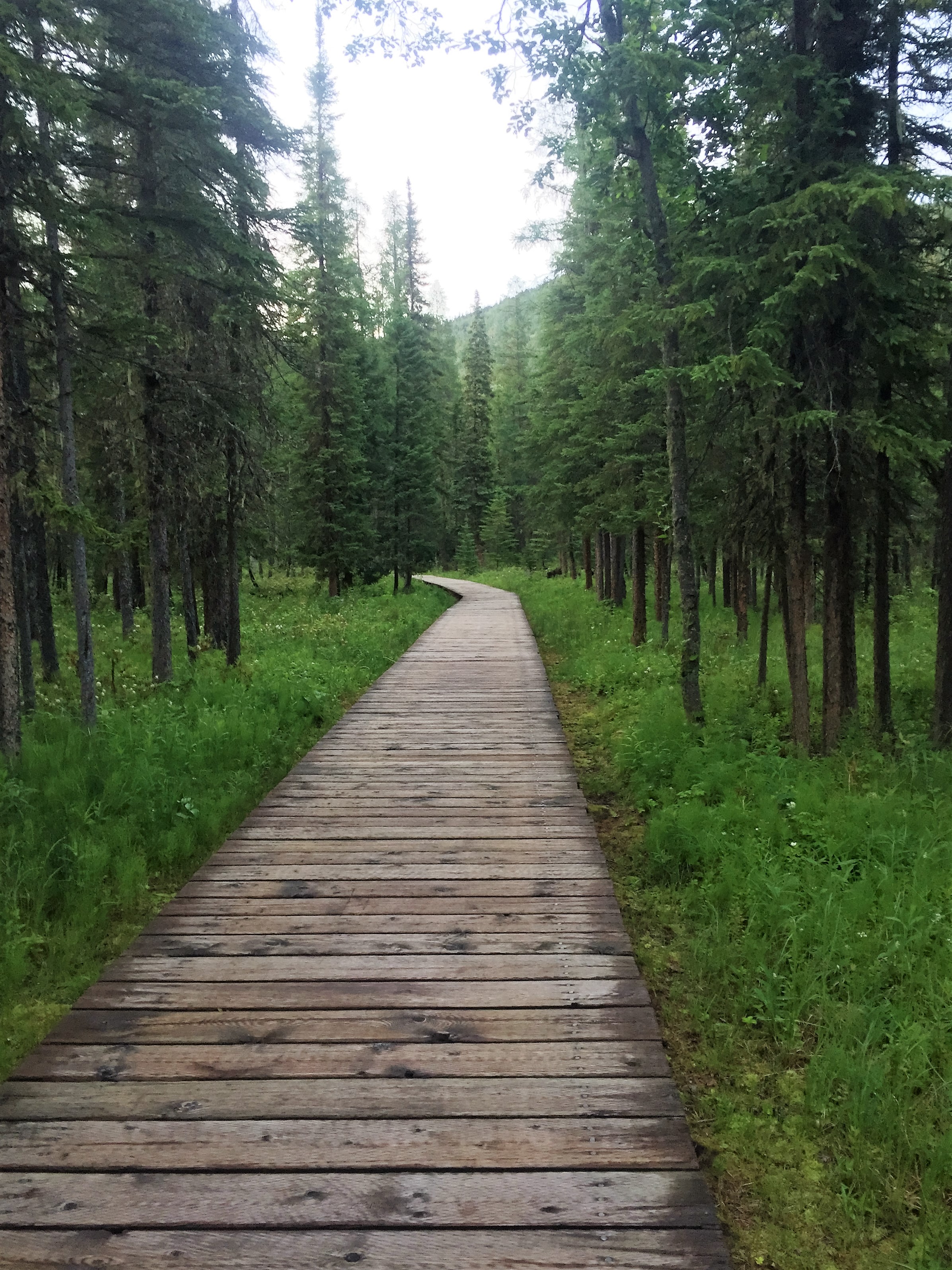 Relax at Liard River Hot Springs