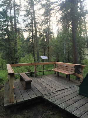 Relax at Liard River Hot Springs