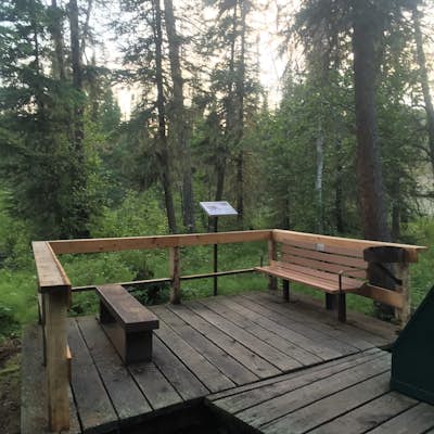 Relax at Liard River Hot Springs