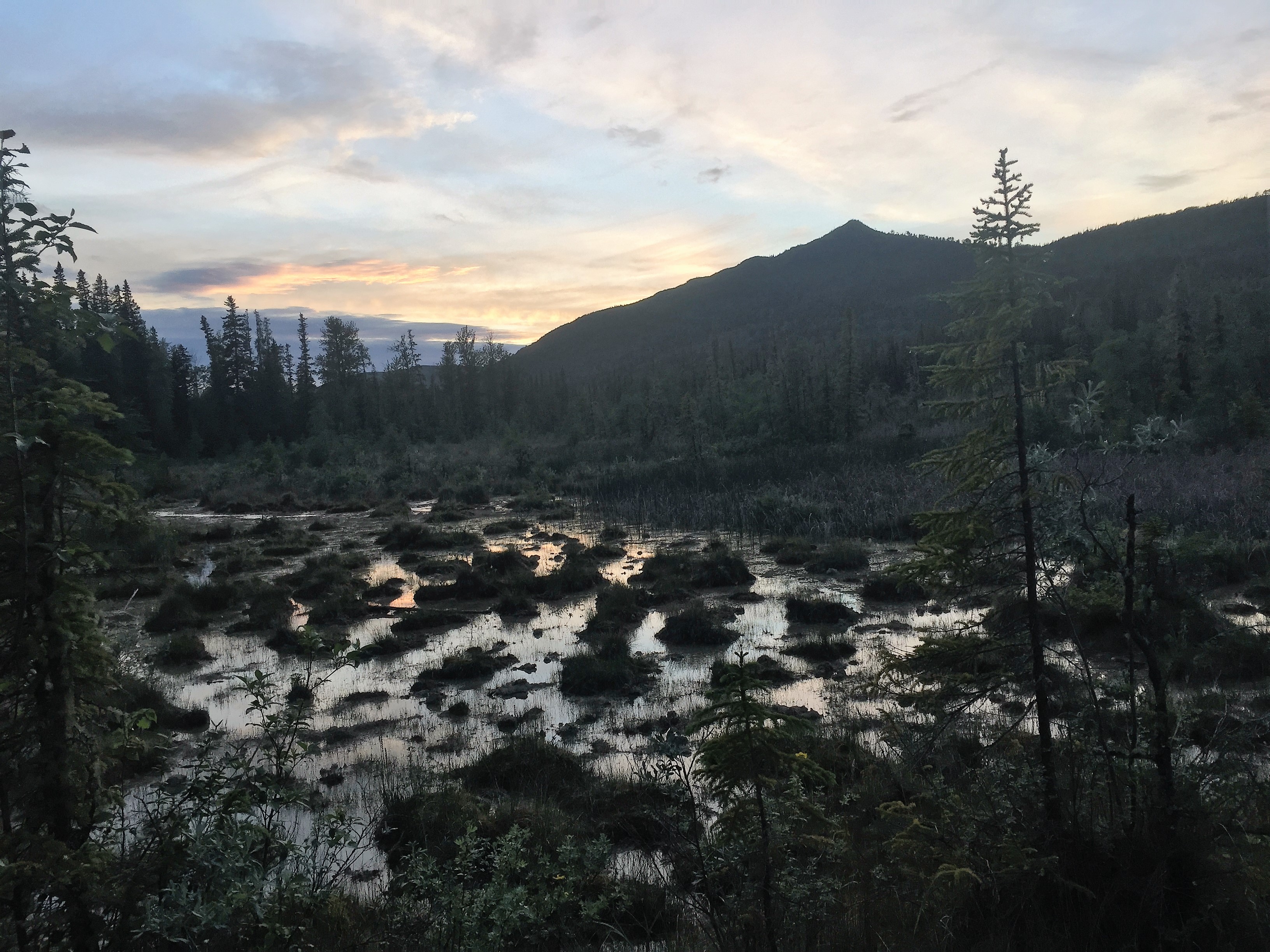 Relax at Liard River Hot Springs
