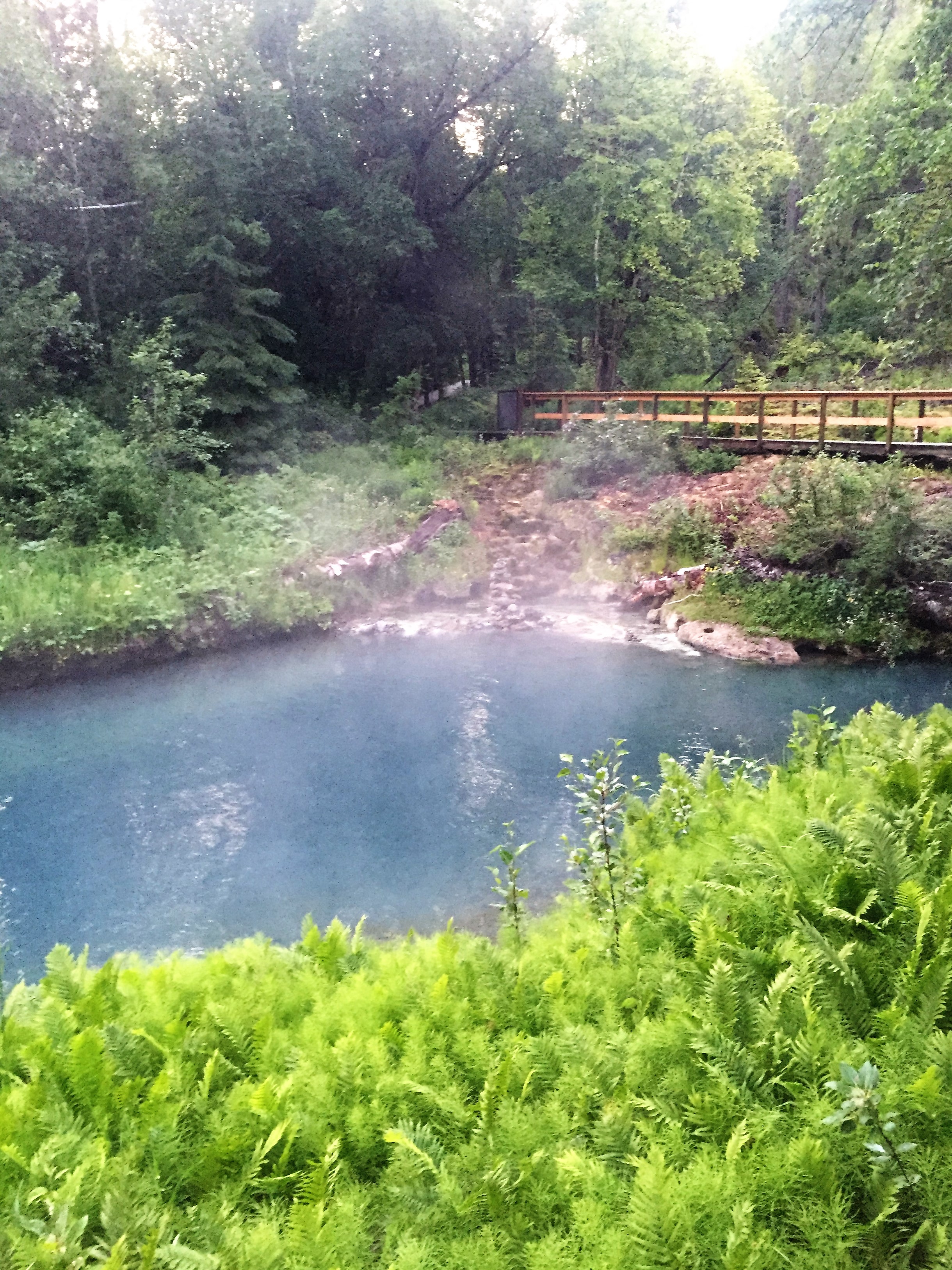 Relax at Liard River Hot Springs