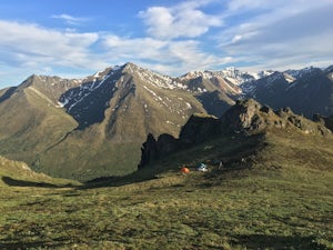 Backpack Rake Mountain