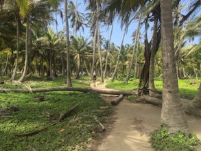 Camp at the Beach in Parque Nacional Natural Tayrona
