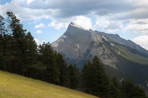Take in the View at the Mount Norquay Green Spot