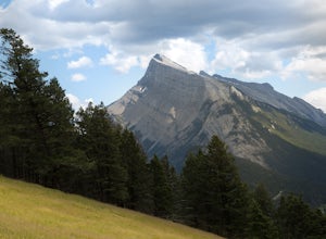 Take in the View at the Mount Norquay Green Spot
