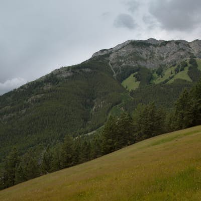 Take in the View at the Mount Norquay Green Spot