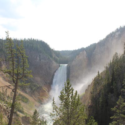 Photograph Yellowstone Falls