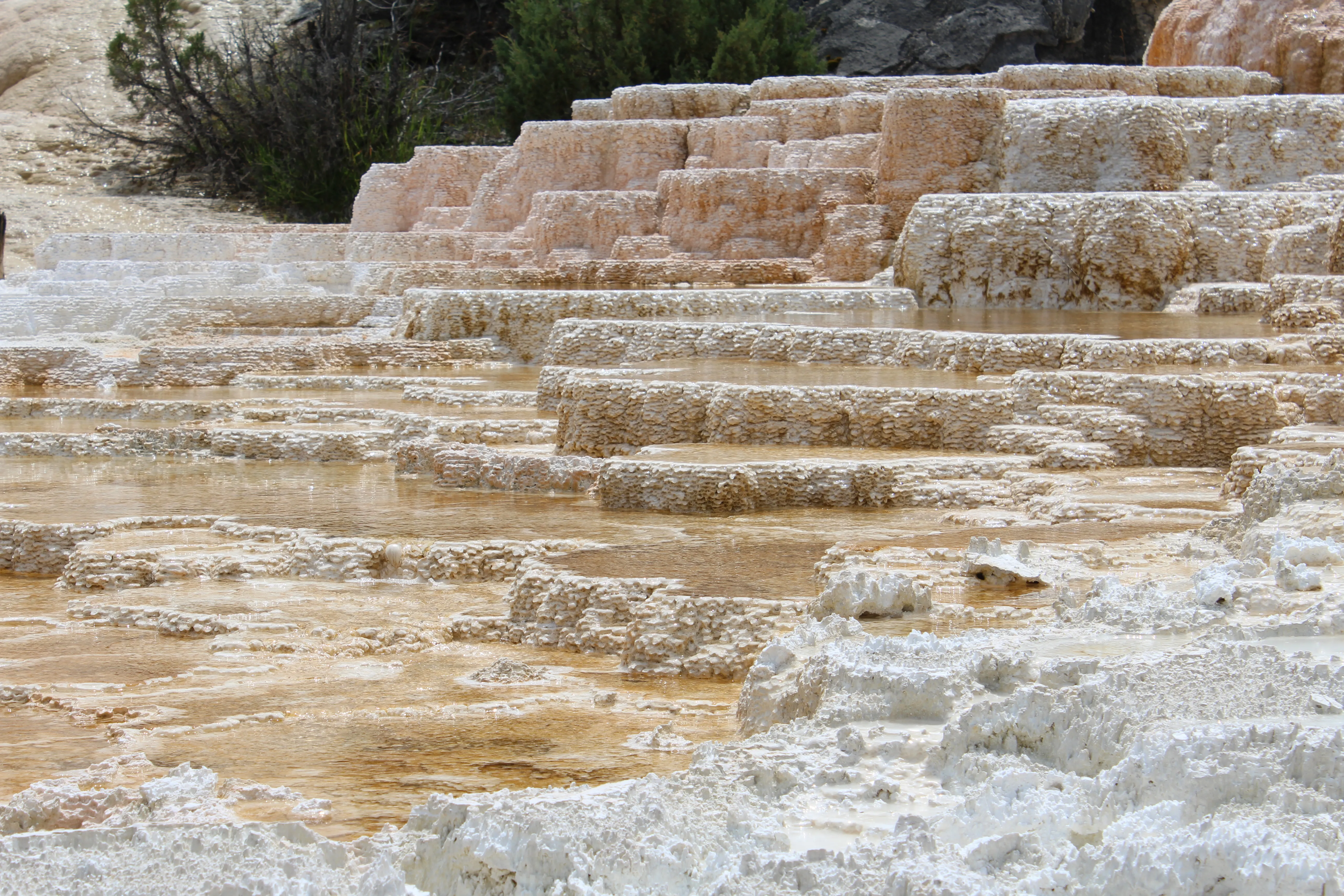 Mammoth Hot Springs