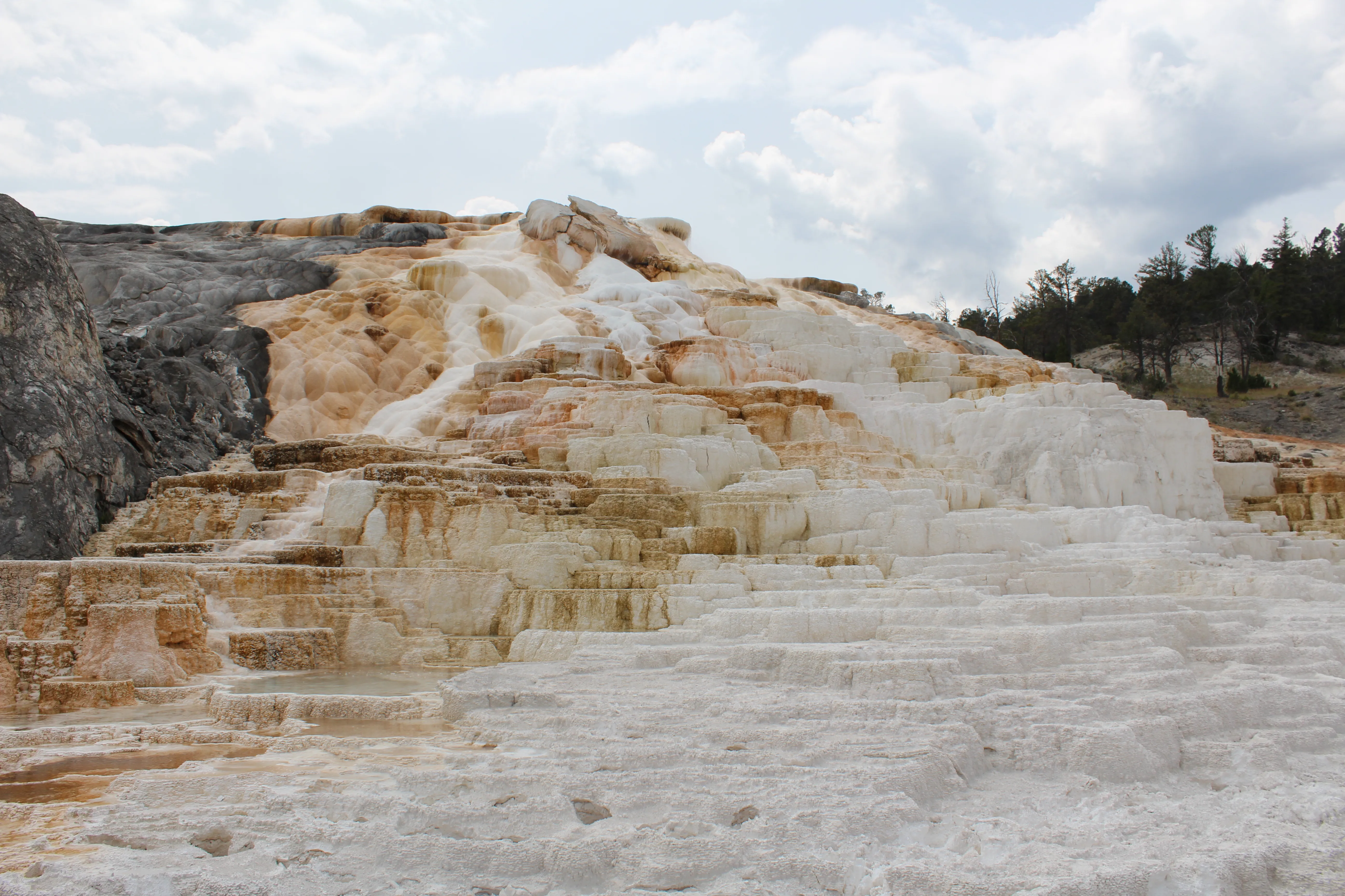 Mammoth Hot Springs