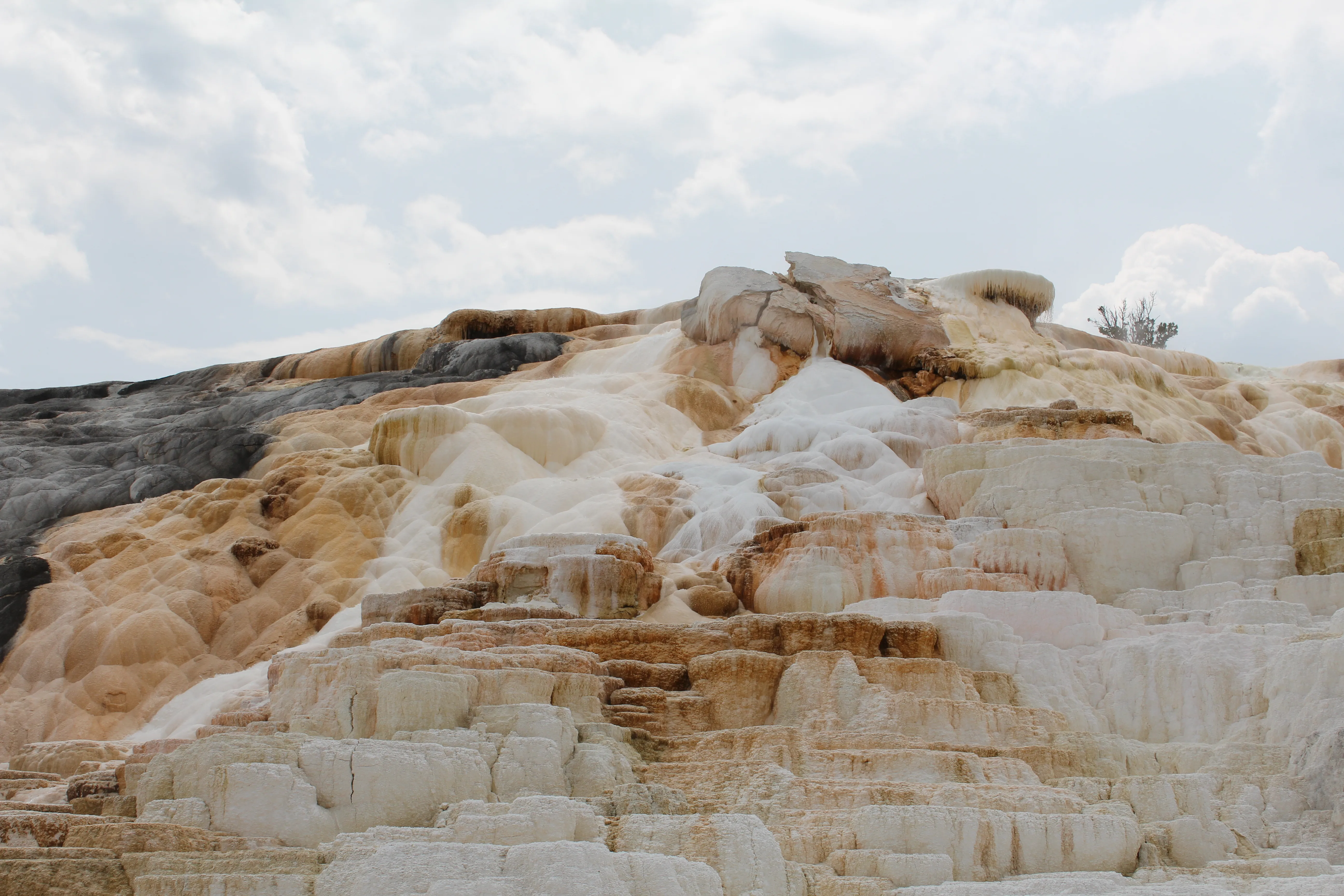 Mammoth Hot Springs