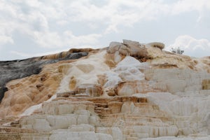 Explore Mammoth Hot Springs