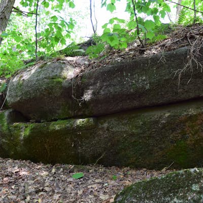 Hike the Sylvan & Point Trails