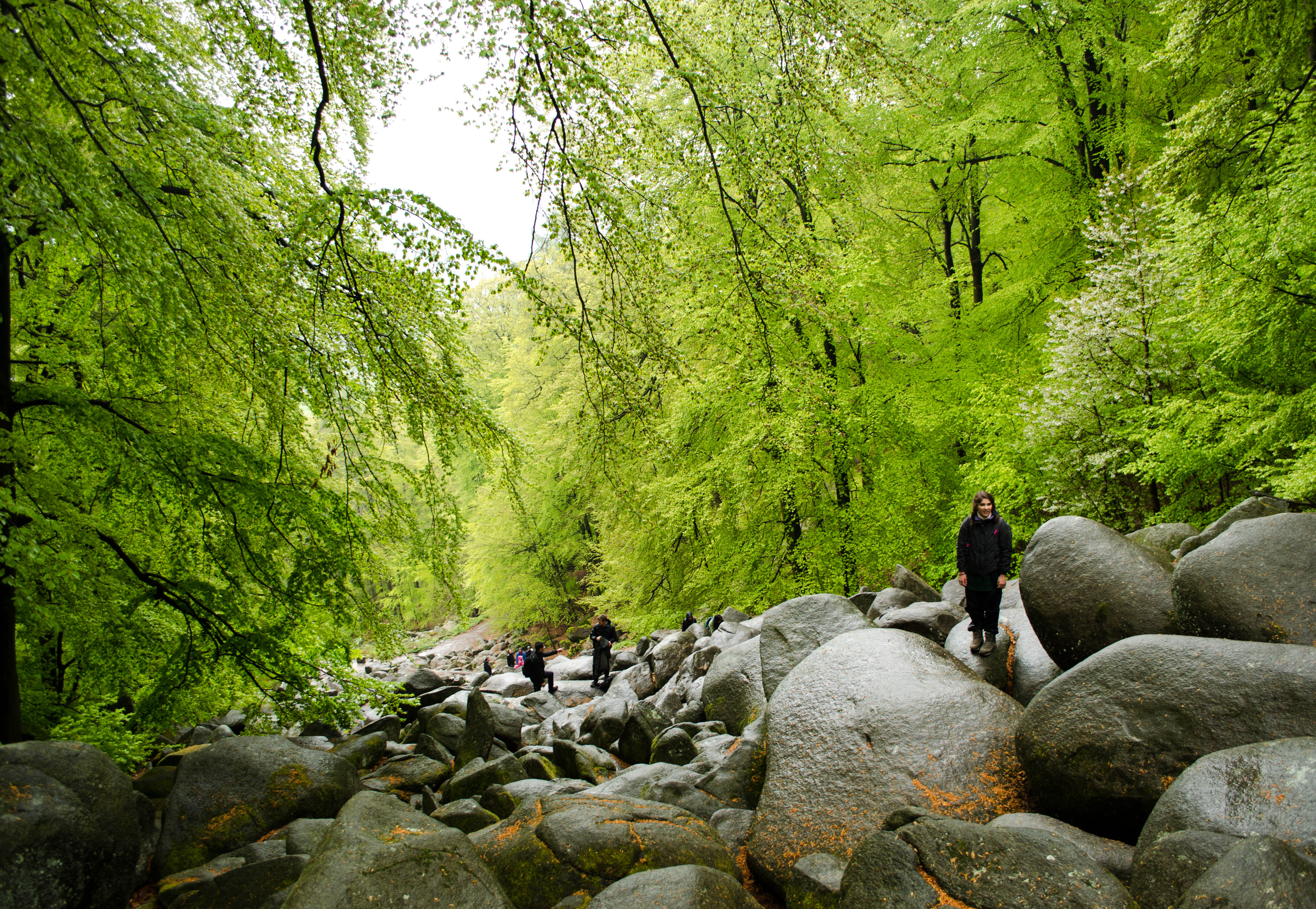 Hike Felsenmeer "Sea of Rocks"